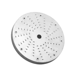 Raspschijf Parmezaan - 0.16 KG - 408023