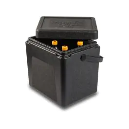 Thermobox Draaglus - 20 Liter - Zwart - Polypropyleen - H 36.5 x B 36 x D 28.5 CM - G-Line