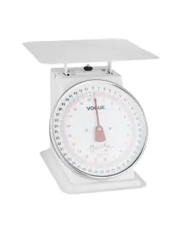 Platformweegschaal - Analoog - H 24.35 x 29.5 x 25.3 CM - RVS - Weighstation - F175