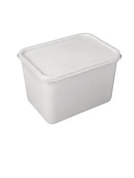 Roomijsbakken - 4 Liter - 15 stuks - Wit - H 22.1 x 15.8 x 15 CM - Polypropyleen - CS827