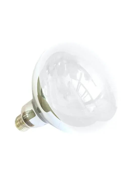 Warmtelamp Infrarood - Wit - 250 W - G-Line 76615 €10.95 Warmhoudlamp