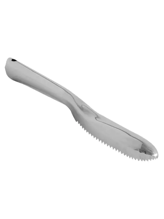 Visontschubber - Zilver - L 23.5 CM - G-Line 76853 €9.99 Klein kookgerei