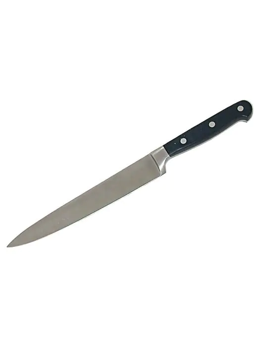 Vleesmes - Gesmeed - Zilver - L 19.5 CM - G-Line 77149 €8.99 Keukenmessen