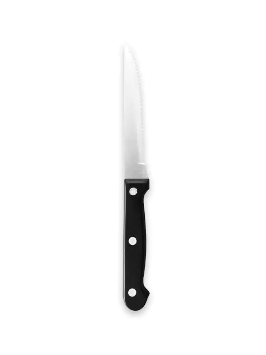 Steakmes - RVS - L 22 CM - G-Line 27613 €1.19 Steakmessen