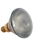 Warmtelamp - 0.6 KG - 220 - 240 V - 175 W - Glas - Wit - 093510 093510 €15.21 Warmhoudlamp