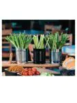 Frietblik - Zilver - Ø 9 x H 11 CM - Staal - Olympia - CP497 CP497 €2.29 Presentatie
