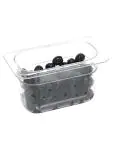 Gastronormbak - 1/9 GN - 65 MM - Transparant - Polycarbonaat - G-Line 77689 €1.99 GN bakken plastic