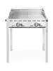 Green Fire met 2 branders fire - RVS 180 - H 82.5 X 61.2 X 74 CM - Hendi - 149621