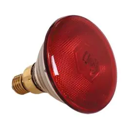 Warmtelamp - 0.6 KG - 220 - 240 V - 175 W - Glas - Rood - 093500