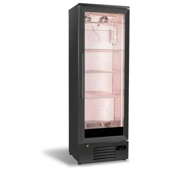 Dry Age Kast 293L - Staand model