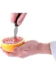 Grapefruitmes - Polypropyleen RVS - H 1.5 X 2 X 21 CM - Hendi - 856185 856185 €7.95 Klein kookgerei