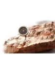 Steak thermometer - RVS - H 7 X 2.5 CM - Hendi - H271339 H271339 €8.25 Thermometer