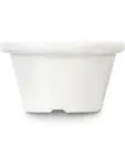 Ramekin - PET - H 3.5 X 6 X 6 CM - Hendi - 565612 565612 €6.85 Schaaltjes en potjes