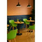 Stoel Alexia - Lichtgroen / Houtlook - Kunsstof - G-Line 81301 €44.95 Houten stoelen